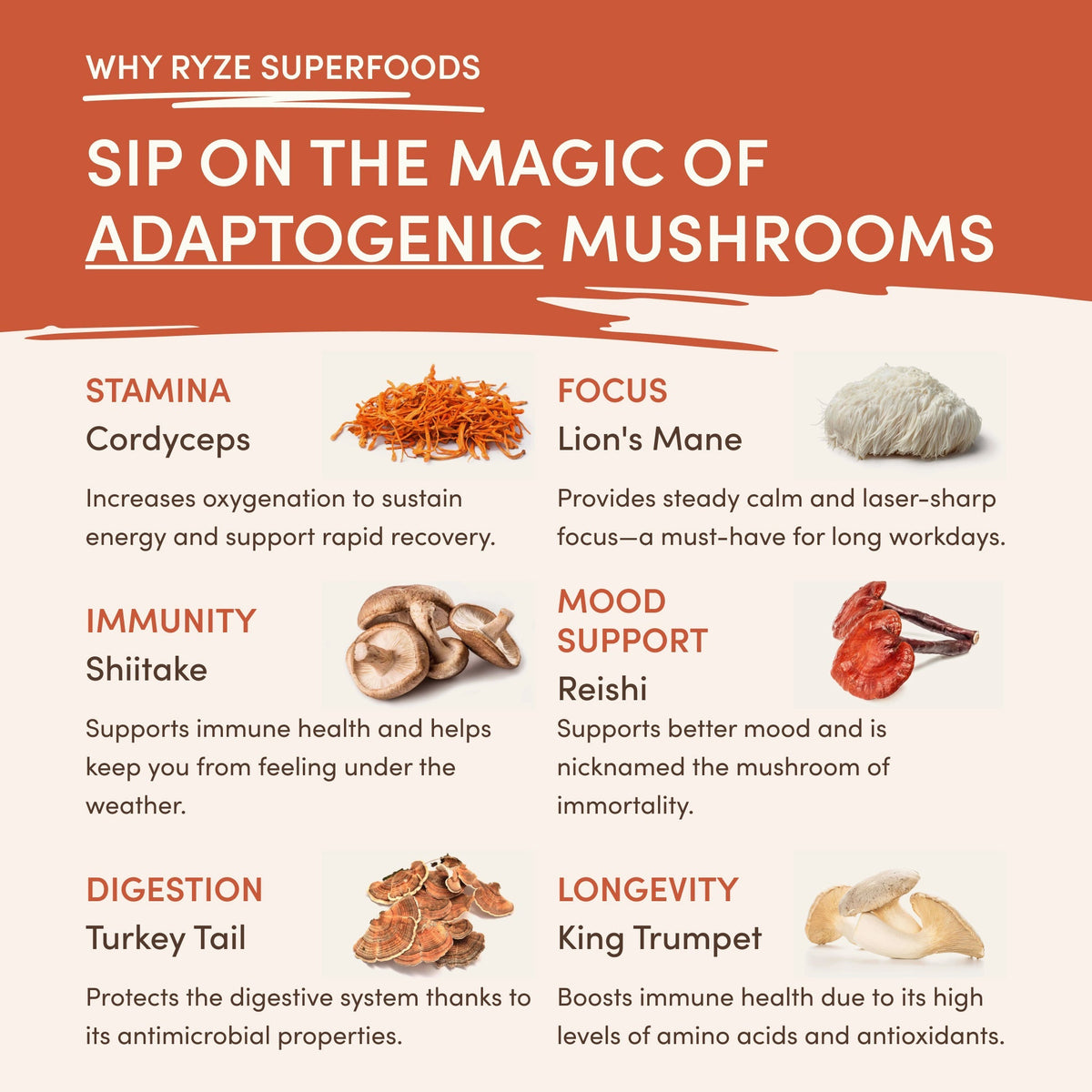 Vanilla + Mocha Superfood Creamer